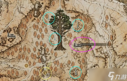 冰川上的“精灵”·揭秘冰川废墟森林中的神秘生命