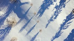 雪山之巅的神秘回声｜天坑蛇形纹镜像人之谜