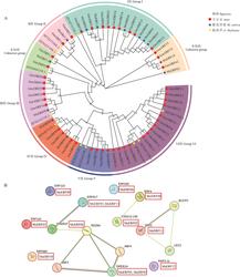 科罗拉多矩阵理论档案丨从数学到现实的应用