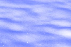 隐身大洋洲雪女—传说背后的科学谜团