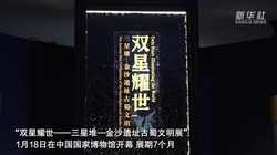 你以为的“遗迹光明沙元素”其实是个误会？真相让人惊讶！