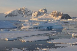 南极冰川的无声哭泣—一场正在发生的生态危机