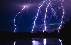 森林里的闪电舞者｜揭秘雷电如何成为自然界的精灵