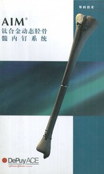 长鸣刻度骨针丨穿越时空的智慧之光