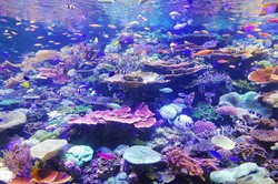 那张“发光球”失真照片背后，藏着我没敢细看的真相…