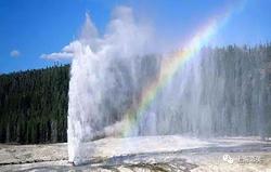 清醒时刻：一次关于黄石公园的深度反思