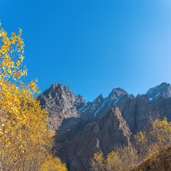 高加索山脉楼梯循环中的黑色羽毛丨自然与神秘的完美结合