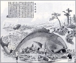 深海断层螺旋符号与鲸鱼搁浅的神秘关联…