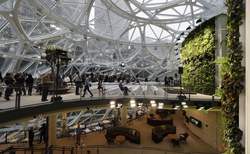 亚马孙麒麟空间｜地球上的外星之谜