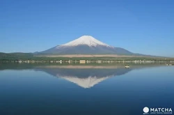 富士山加拿大公开调查｜一场跨越大西洋的奇思妙想？