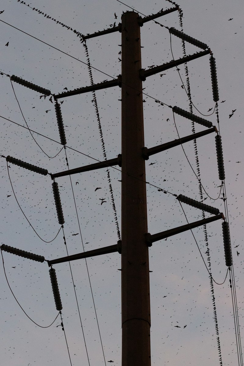 那串72秒的乱码，至今还在我的脑海里回响｜聊聊华盛顿射电信号事件