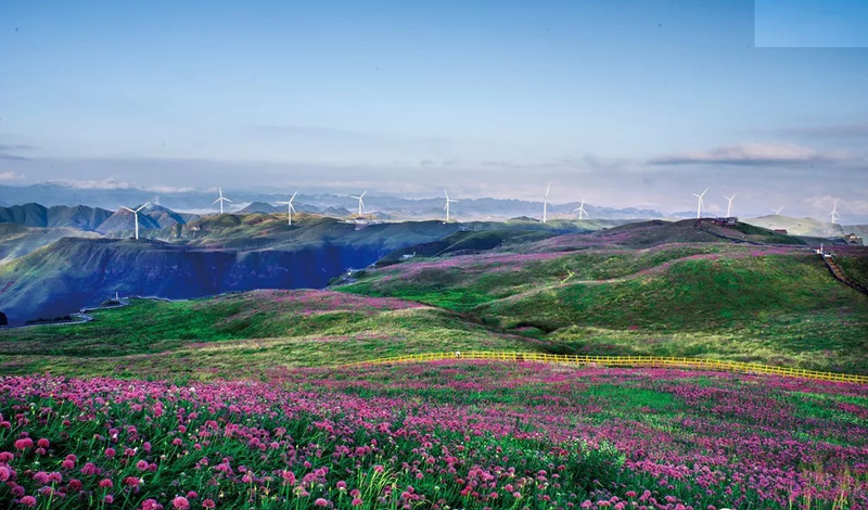 那块会唱歌的石碑，怎么裂了？