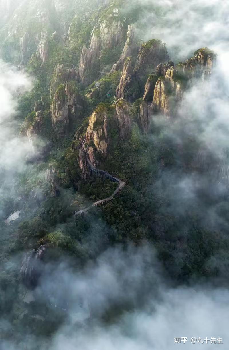 守墓雨林雾灵丨揭开热带雨林中神秘生物的真相