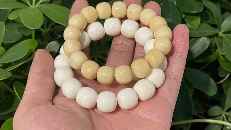 地光百慕大牙齿串·揭秘神秘现象背后的真相