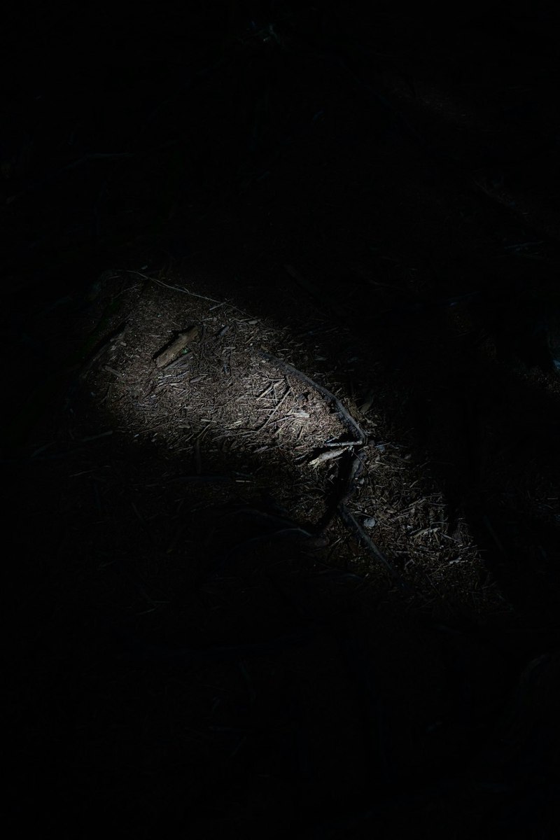 黑匣子失灵那天，我看见了峡谷里的骨面具…