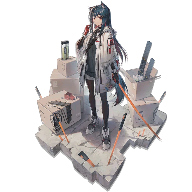 揭开德克萨斯的神秘面纱·官方视角下的真实与魅力