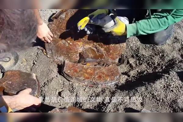 湖心孤岛石像残件离奇失踪—谜团背后的真相