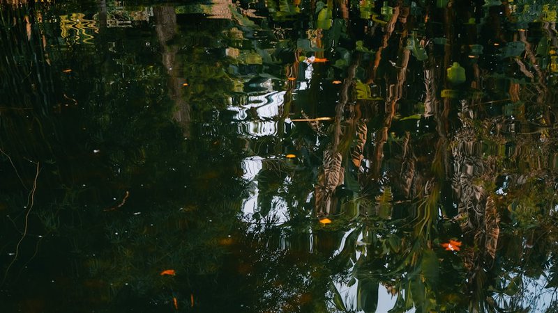 迷宫沼泽芬里尔—地球上最神秘的自然奇观