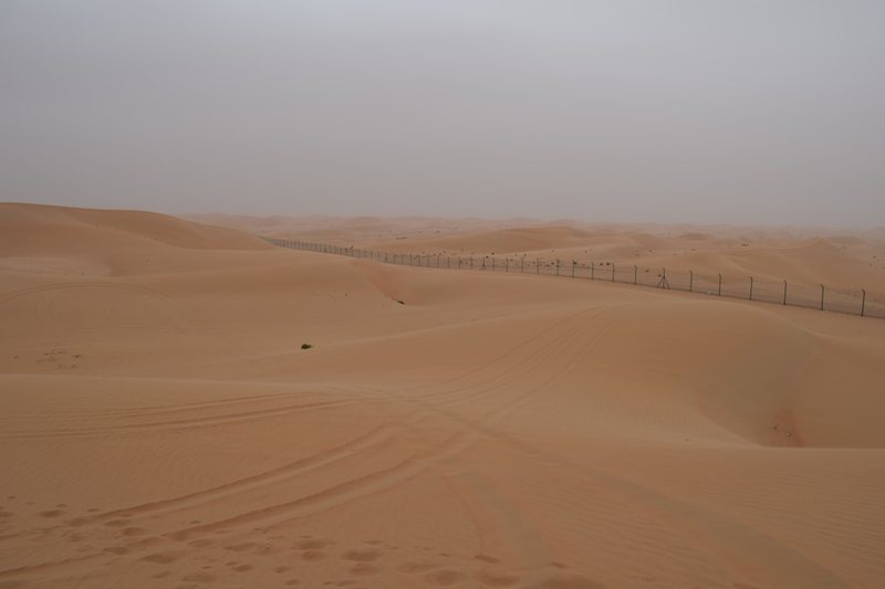 沙特的地磁翻转丨揭秘地球磁场的大变局