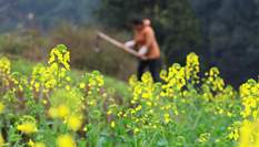 巨石阵的秘密：那些不为人知的脚印残影和磁场异常