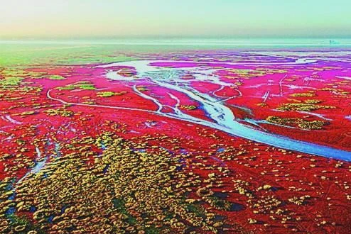 海地红外视频·未解之谜的背后,真相还是幻影? 海地红外视频·未解之谜的背后,真相还是幻影?