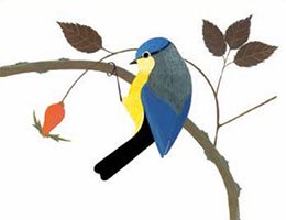 春天的约定 春天的约定