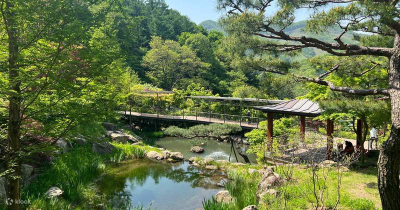 洞穴深处的神秘之光｜人鱼如何点亮黑暗世界