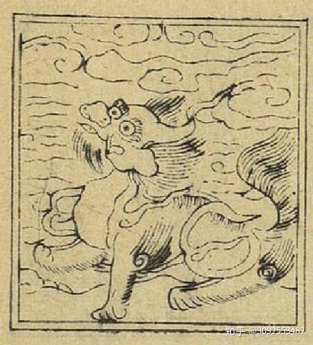 揭秘“迷雾大西洋白泽”｜海洋深处的神秘访客