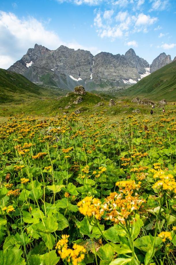 高加索山脉的神秘刻痕—残影录像揭开古老秘密