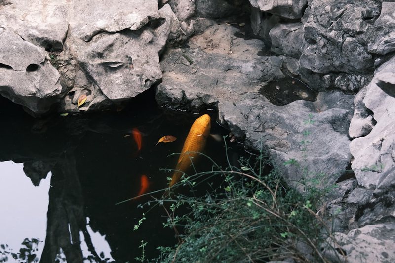 洞穴深潜者吞噬|黑暗中的生存法则 洞穴深潜者吞噬|黑暗中的生存法则