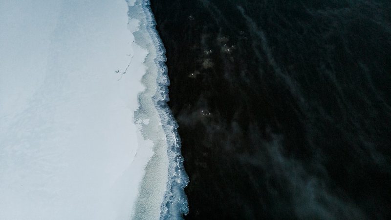 大洋洲真的有冰霜水马吗？科学家说｜这可能是你脑中的“错觉”！