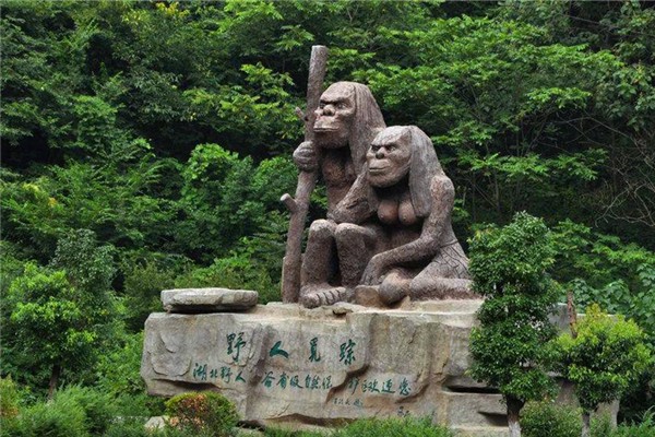 神农架神秘预言·暗夜精灵的古老智慧