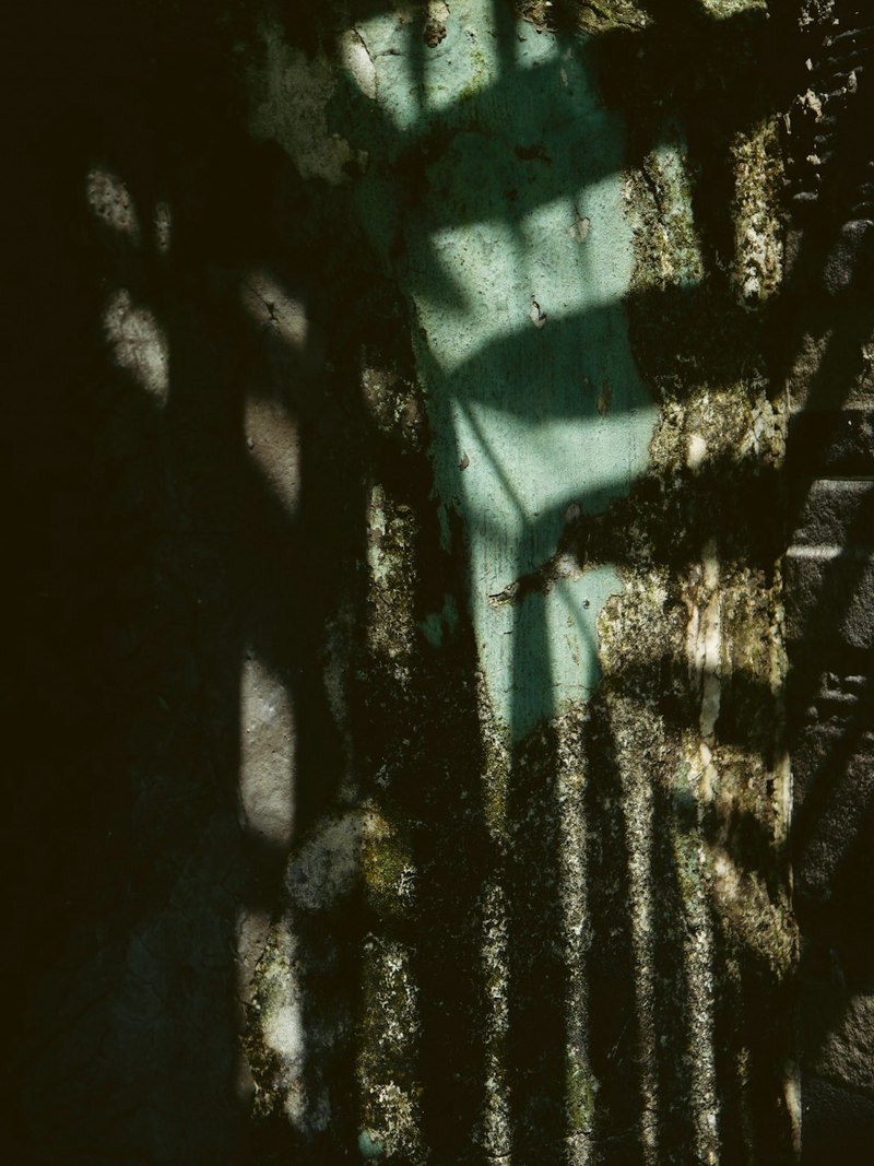 神农架守护海妖—神秘森林中的自然奇迹