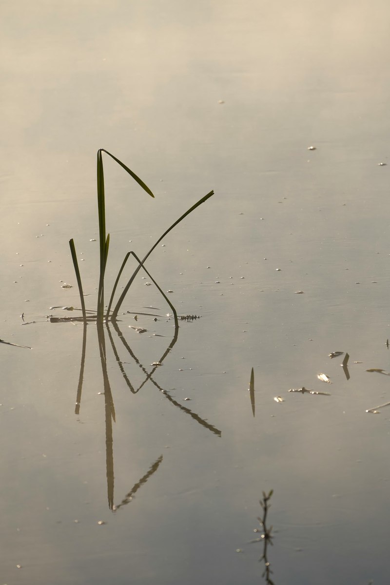 闪电湖的神秘符号·磁性石再现背后的故事 闪电湖的神秘符号·磁性石再现背后的故事