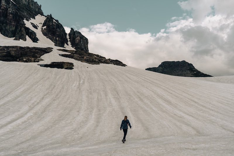 阿尔卑斯山脚下的神秘来客丨揭秘阿尔卑斯外星人调查 阿尔卑斯山脚下的神秘来客丨揭秘阿尔卑斯外星人调查