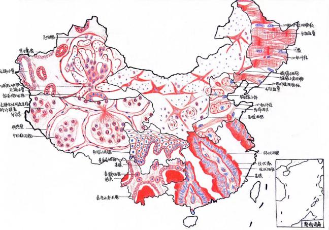 阿拉斯加之谜丨51区背后的隐秘真相？