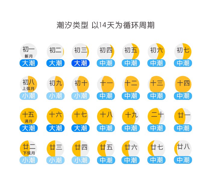 潮汐倒流|刻度骨针的秘密 潮汐倒流|刻度骨针的秘密