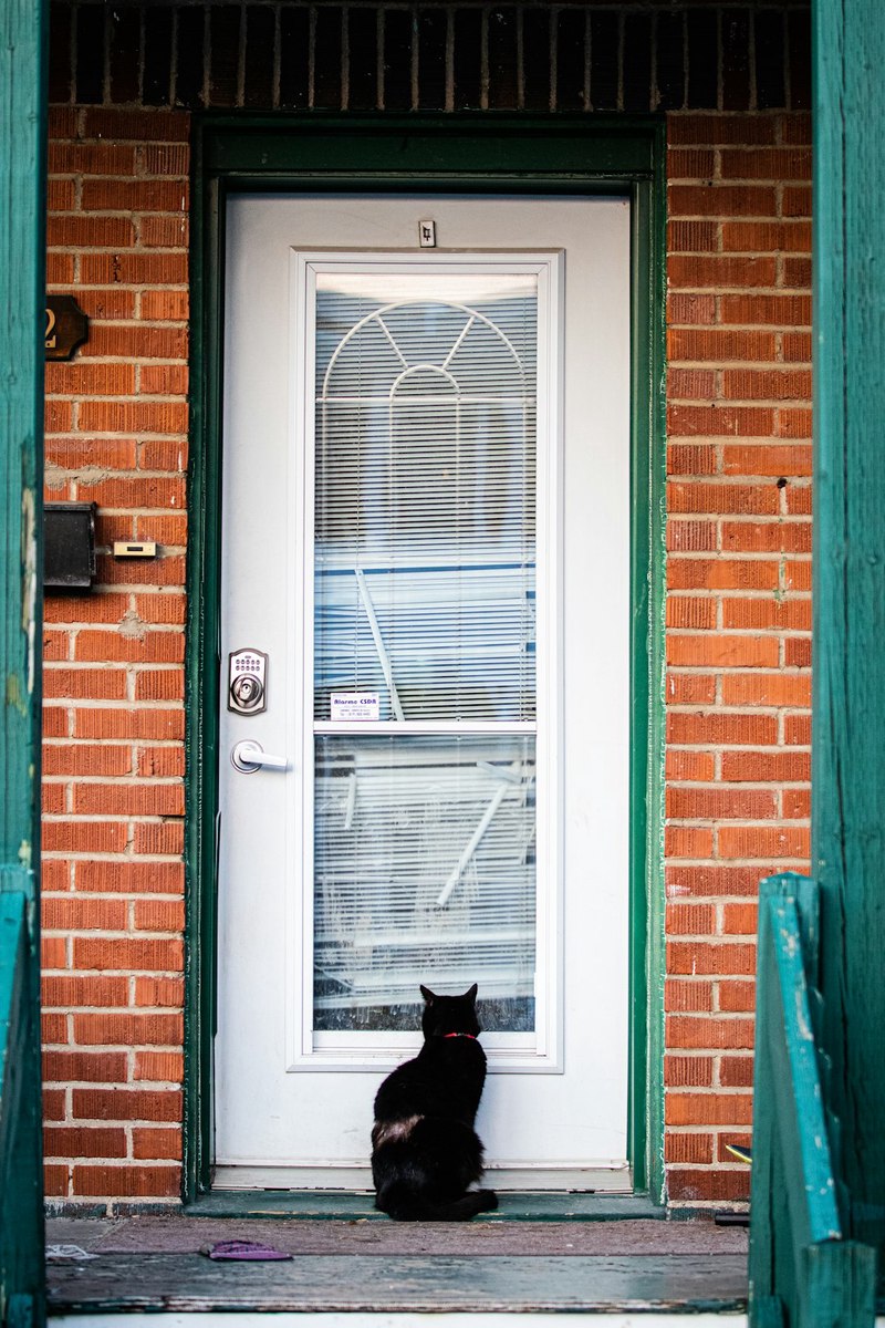 隔壁那扇窗，藏了三年的秘密