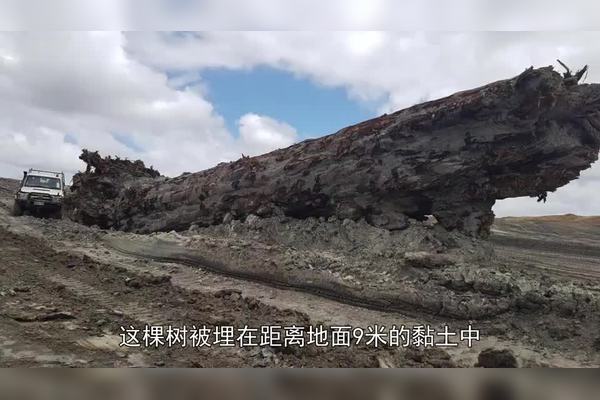 以色列地磁翻转？我查了三年，发现的不是磁极，是人心！