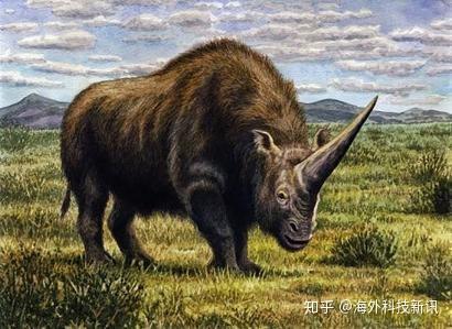 变形喀尔巴阡独角兽—揭秘神秘生物的奇幻变形之谜