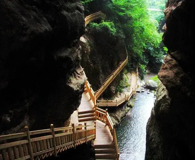 神农架之谜｜雾中龙的传说与科学探秘