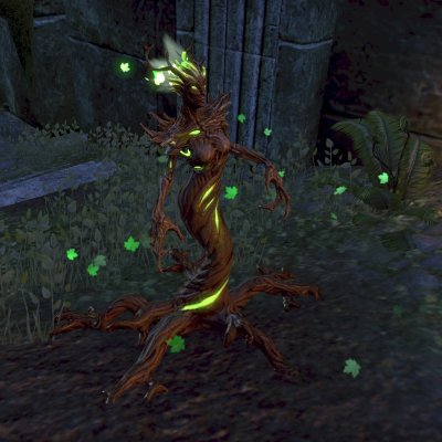 风暴湖泊树精｜自然界的神秘生物