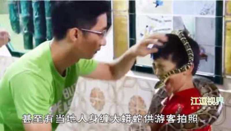 蛇妖祭祀·当恐惧遇上崇拜,古人为何对“冷血杀手”顶礼膜拜? 蛇妖祭祀·当恐惧遇上崇拜,古人为何对“冷血杀手”顶礼膜拜?