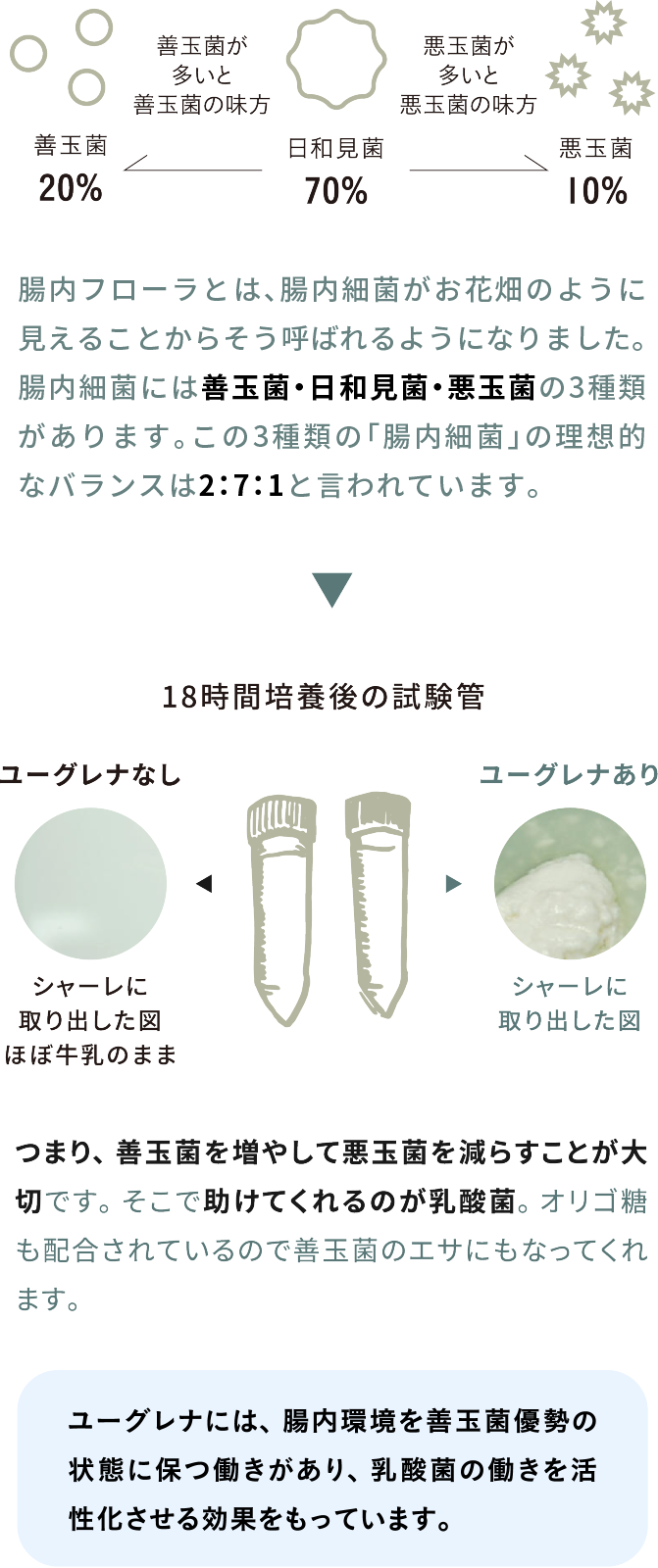 雨鱼之谜：揭秘未知符号的神秘面纱