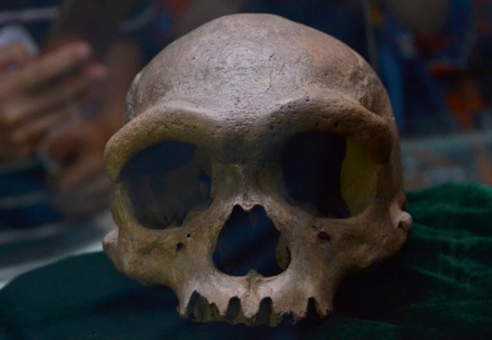 深夜刷到的那个发光头骨，让我后背发凉…