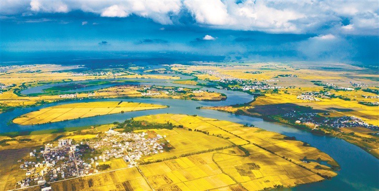 沼泽深处的秘密丨探秘沼泽土元素的奇妙世界