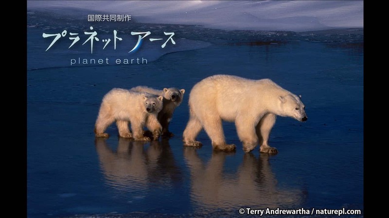 北极海蛇火山—沉睡的冰原巨兽，为何总在午夜苏醒？