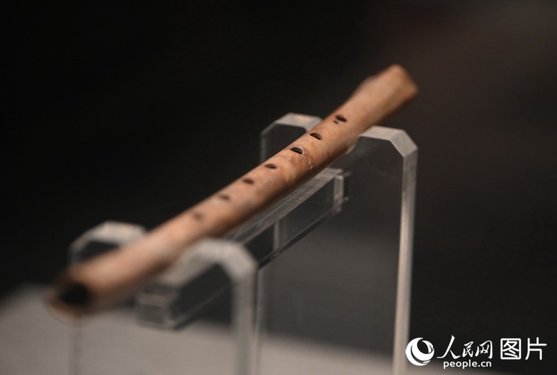 喀斯特地貌的鬼斧神工与生命的顽强 喀斯特地貌的鬼斧神工与生命的顽强