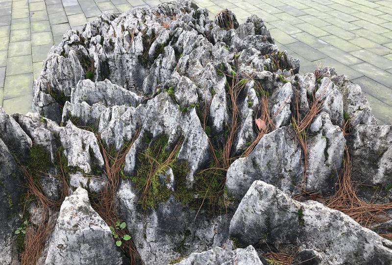在时光的缝隙里,听喀斯特地貌的低语? 在时光的缝隙里,听喀斯特地貌的低语?