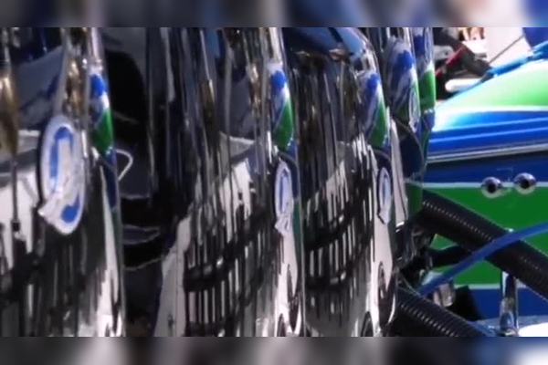 盐湖动物暴走金面具｜揭秘神秘生物的面纱